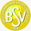 bsv-logo_gold.jpg