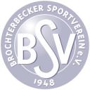 bsv-logo_silber.jpg